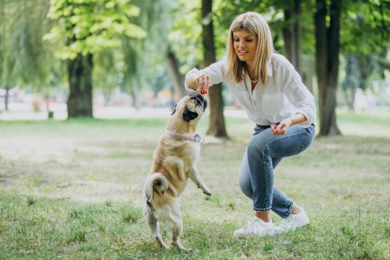 Une femme blonde, vêtue d'une chemise blanche et d'un jean, joue avec un carlin debout sur ses pattes arrière dans un parc verdoyant.