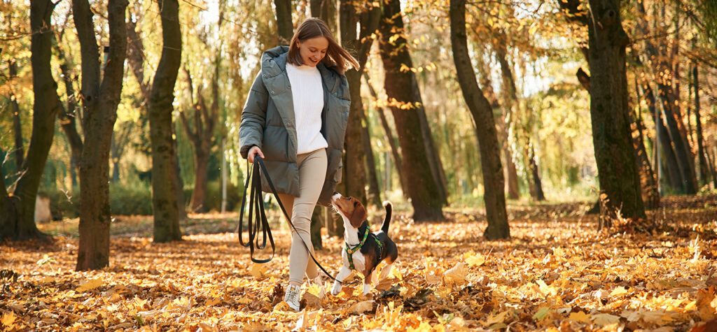 Découvrez l’art de la promenade canine : Offrez à votre chien bien plus qu’une simple sortie