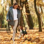 Découvrez l'art de la promenade canine : Offrez à votre chien bien plus qu'une simple sortie